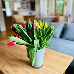 Feriehus Pod Czantoria Ustroń