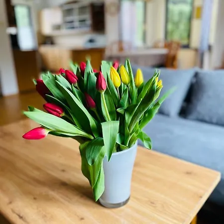 Prázdninový dům Pod Czantoria Ustroň