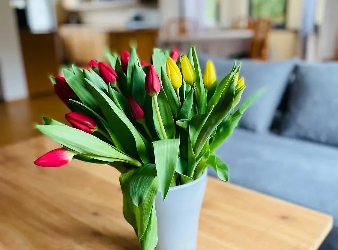 Сasa de vacaciones Pod Czantoria Ustroń